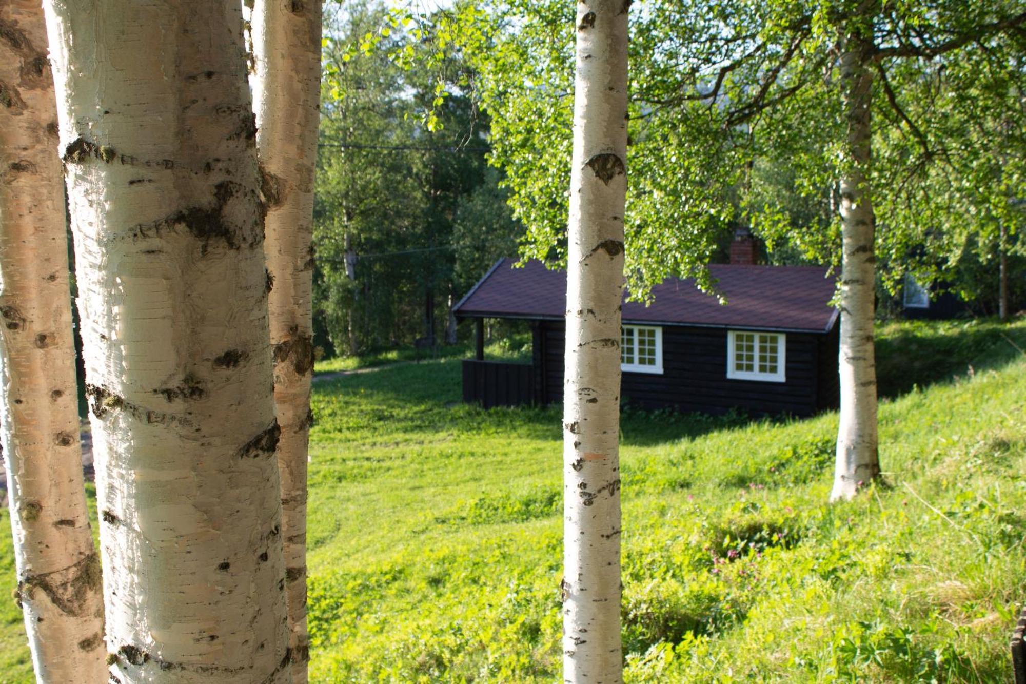 Ljoshaugen Camping Dombås Exterior foto